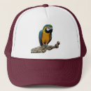 Search for blue parrot hats Tropical