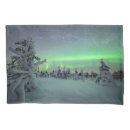 Search for national park pillowcases Winter