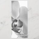 Search for orchid wedding programs Elegant
