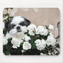 Search for dog rose mousepads Cute