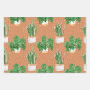 Search for succulent wrapping paper Plants