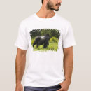 Search for silverback gorilla clothing Africa