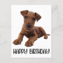 Search for airedale terrier lover cards Dog