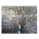 Search for peacock calendars Bird