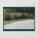 Search for cross postcards Nature