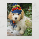 Search for scarf postcards Puppy