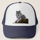 Search for grey wolf hats Nature