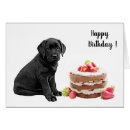 Search for black dog birthday cake Labrador retriever