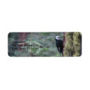 Search for woodpecker return address labels Bird