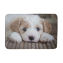 Search for cutest Domestic animals