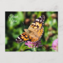 Search for x wing thank you cards Colourful
