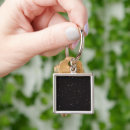 Search for evolution square key rings Astronomy