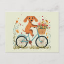 Search for bicycle basket postcards Summer
