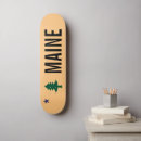 Search for historic skateboards Flag