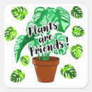 Search for green plant stickers Monstera
