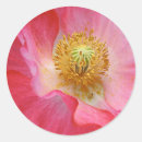 Search for papaver stickers Floral