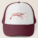 Search for shrimp hats Cajun