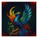 Search for phoenix art Wildlife