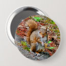 Search for creatures badges Squirrels