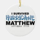 Search for east coast christmas tree decorations Caribbean
