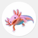 Search for kawaii fish stickers Mexican walking fish