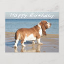 Search for basset hound birthday cards Puppy