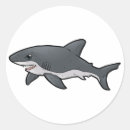 Search for great white shark stickers Animal