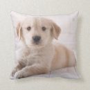 Search for golden retriever nursery decor Cute