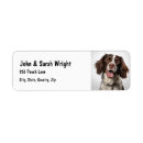 Search for springer spaniel return address labels Pet