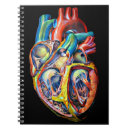 Search for human anatomy notebooks Biology