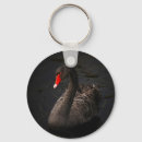 Search for black swan key rings Bird