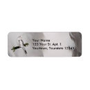 Search for ivy return address labels White