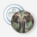 Search for affection barware Wildlife