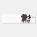 Search for herd dog bumper stickers Border collie
