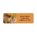 Search for cats return address labels Siamese