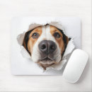Search for beagle mousepads Hound