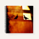 Search for arabia notebooks Saudi