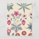 Search for red floral pattern postcards William morris