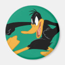 Search for duck magnets Daffy