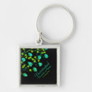 Search for bright green key rings Stylish