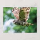 Search for barred postcards Wild