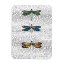 Search for dragonfly magnets Steampunk