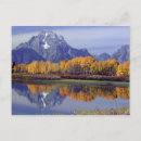 Search for grand teton national park postcards Reflection