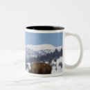 Search for american bison mugs Nature