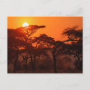 Search for silhouetted postcards Adam jones