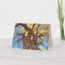 Search for cottonwood cards Utah