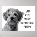 Search for dog quote art Pet