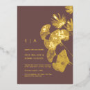 Search for gingko Ginkgo leaves