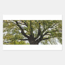 Search for weeping willow stickers Tree