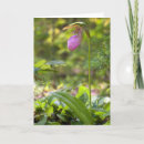 Search for lady slipper cards Pink